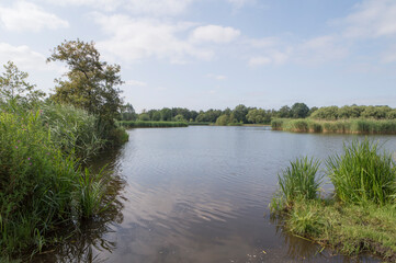 Nature reserve the Hoge Dijk in Amsterdam during summer