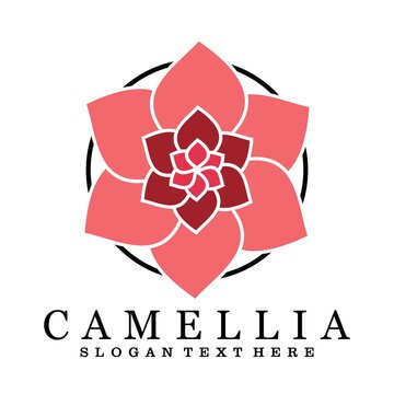 camellia flower logo brand design vector