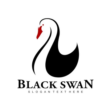 black swan logo brand design vector
