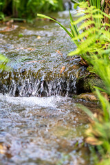 Silky ripples in water of a crystal clear water creek as idyllic natural background with close-up view shows zen meditation and little waves in a healthy mountain spring with a clear floating stream