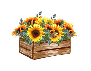 Watercolor basket with wildflowers bouquet inside, hand drawn rustic composition isolated on a white background. Watercolor illustration of sunflowers bouquet in a basket. Summer yellow wildflowers