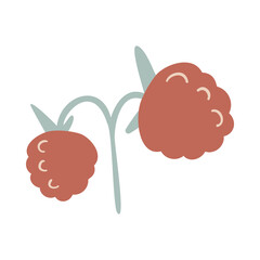 Isolated vector illustration of a raspberry for decoration