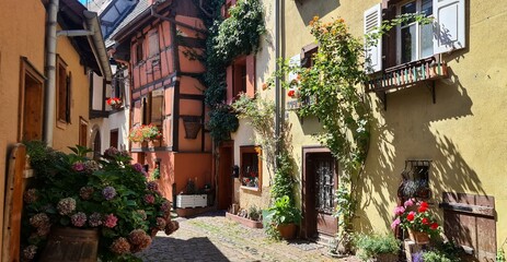 Narrow street lined with timber houses in Eguisheim, Alsace, France