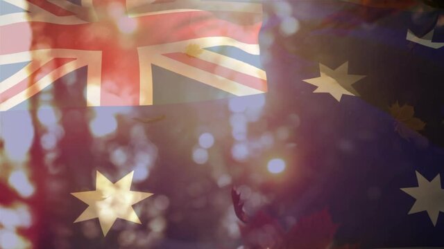 Animation of flag of australia and leaves falling
