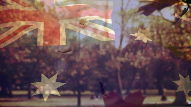 Animation of australian flag and leaves falling