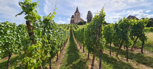View on the vineyards and an old church in Hunawihr in Alsace, France