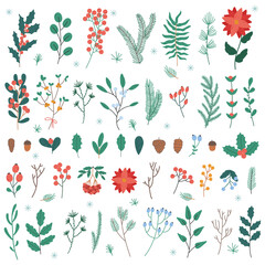 Christmas plants and flowers. Xmas and New Year winter holidays decoration leaves, flowers and berries vector illustration set. Christmas floral elements