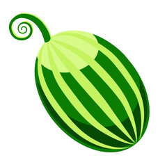 Color, vector image of a watermelon. Illustration for the National Watermelon Day holiday.