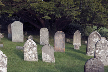 Old english forgotten cementary.  Oblivion concept. Tombstones in the grass, gloomy atmosphere.