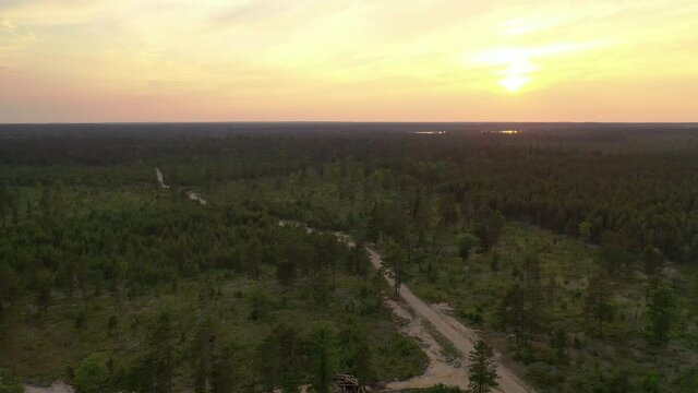 Aerial view of beautiful sunset over the forest. Flying over trees , sunlight