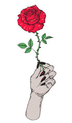 The witch's hand holds a rose. Hand drawn vector illustration. Mystic and occult hand. Mystical print. T-shirt design.