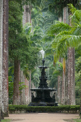 Jardim Botânico do Rio de Janeiro, um dos pontos turísticos obrigatórios da capital do estado, com muita beleza e locais aprazíveis. Brasil