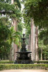 Jardim Botânico do Rio de Janeiro, um dos pontos turísticos obrigatórios da capital do estado, com muita beleza e locais aprazíveis. Brasil