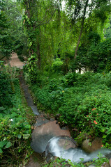 Jardim Botânico do Rio de Janeiro, um dos pontos turísticos obrigatórios da capital do estado, com muita beleza e locais aprazíveis. Brasil