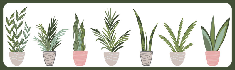 Vector Set of indoor houseplants in pots in Scandinavian style. Modern concept interior design elements