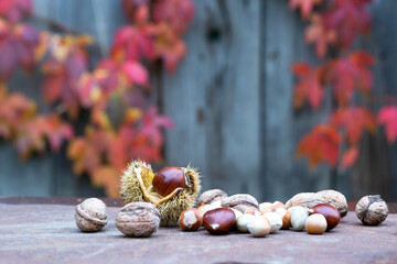 Sweet chestnut with shell, walnuts and hazelnts on a rusty table