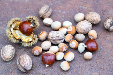 Sweet chestnut with shell, walnuts and hazelnts on a rusty table