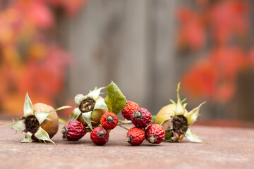 Composition with dried rose hips on a rusty table