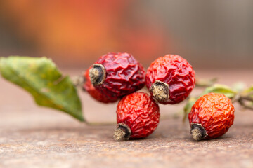 Composition with dried rose hips on a rusty table