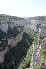 Fototapeta na wymiar Cliffs with a lot of vegetation in the Foz de Arbayun in Navarra