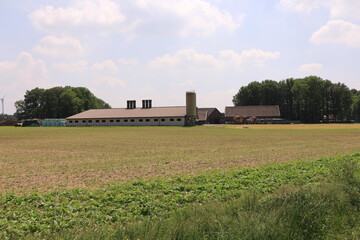 Blick auf die weiten Felder in der Nähe von Reken im Münsterland