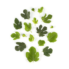 Composition of fresh green fig leaves and fruits isolated on white, flat lay.