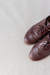 Vintage female dark brown oxford shoes on white background. Fashion concept. Blog, blogger, social media.