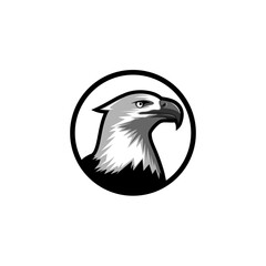 Eagle or hawk head logo design inspiration