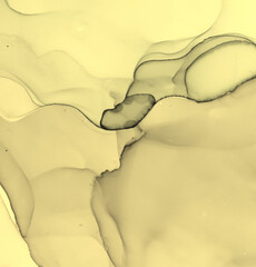 Alcohol Ink. Art Fluid Grunge Wall. Mix Foil