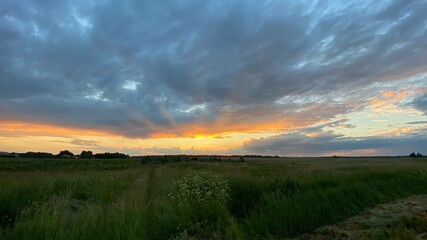 Fototapeta na wymiar west elephant green fields summer orange sun dark clouds blue sky near Wlodawa