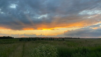 west elephant green fields summer orange sun dark clouds blue sky near Wlodawa