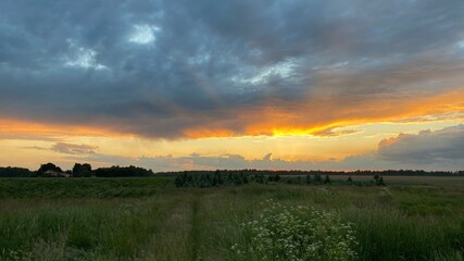 west elephant green fields summer orange sun dark clouds blue sky near 