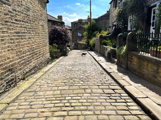 View down, Sapgate Lane, with stone cobbles, a cat, and old cottages in, Thornton, Bradford, UK