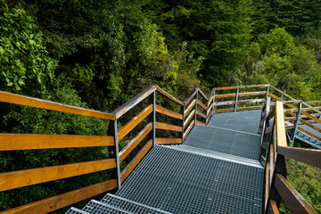 Walkways in the forest of Los Glaciares National Park