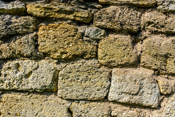 Texture of the shell rock limestone bricks for background. Natural pattern