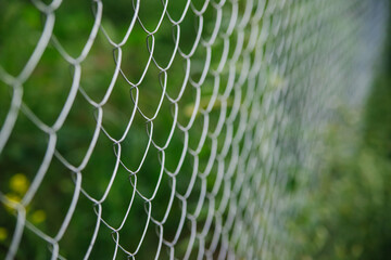 The background is made of metal mesh. A fence on a garden plot. Blurred background.