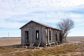 Mississippi Delta Sharecropper Shack 1