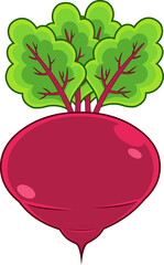 Cartoon Fresh Fresh Red Beet With Leaf. Vector Hand Drawn Illustration Isolated On Transparent Background