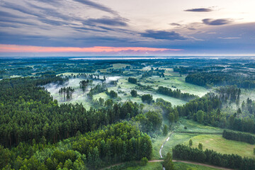 Aerial view of pine forest covered in mist. Sustainable ecosystem.  Foggy morning with colorful sky in countryside.