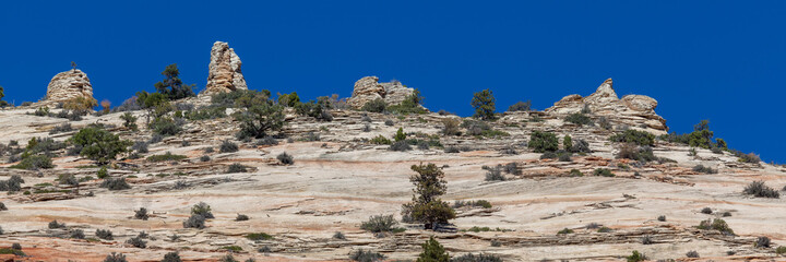 Fototapeta premium Hoodoo Rock Features