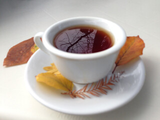 Cup of tea with autumn leaves, reflection of sky and trees inside the cup, on white table. 
