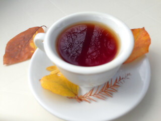 Cup of tea with autumn leaves, reflection of sky and trees inside the cup, on white table. 