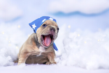 Tired yawning French Bulldog puppy with nightcap between fluffy clouds and stars