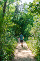 Man in casual cloth trekking alone on natural park trail, branches of green trees covering beautiful and peaceful pathway scene. Outdoor activity and recreation in spring and summer. Nature lifestyle.