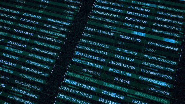 Data with passwords and IP addresses of network. Animation. Rows with personal electronic data of users within network. Database with generated passwords and IP addresses