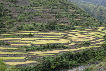 Reisterrassen in der Gemeinde Tinglayan, Provinz Kalinga, Kordilleren, Philippinen