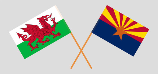 Crossed flags of Wales and the State of Arizona. Official colors. Correct proportion