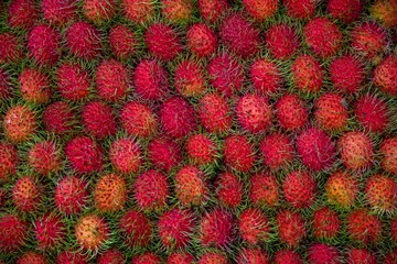 Rambutans for sale in a Thai Market