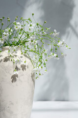Modern still life with gypsophila flowers in the vase. Minimalistic gray background mock up design. Shadows and sunlight.	