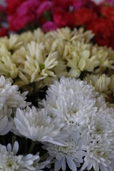 Fototapeta na wymiar bouquet of flowers background